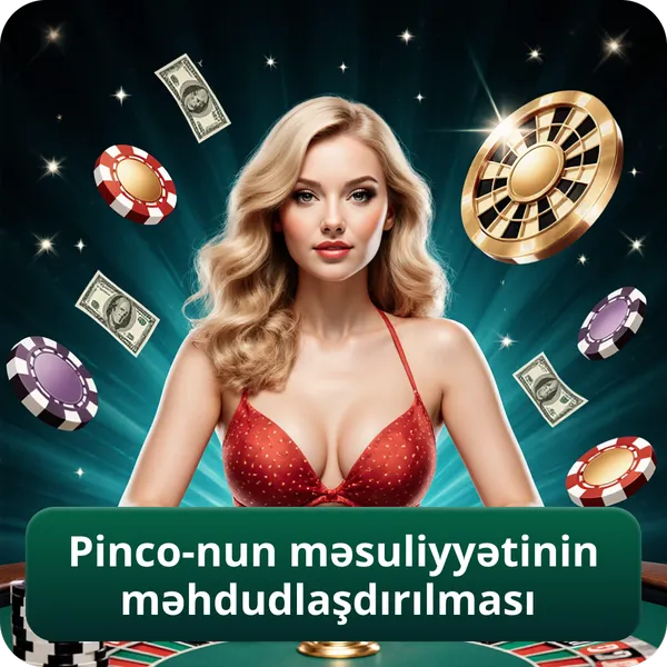 Pinco-nun məsuliyyətinin məhdudlaşdırılması