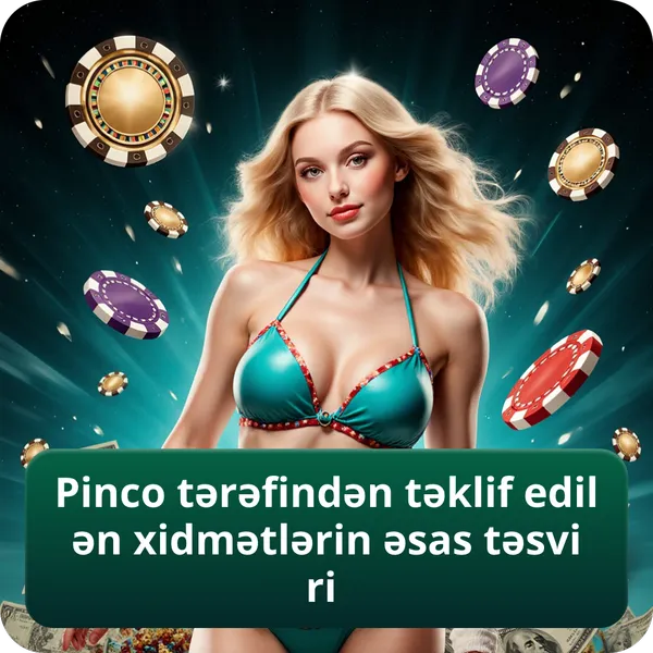 Pinco tərəfindən təklif edilən xidmətlərin əsas təsviri
