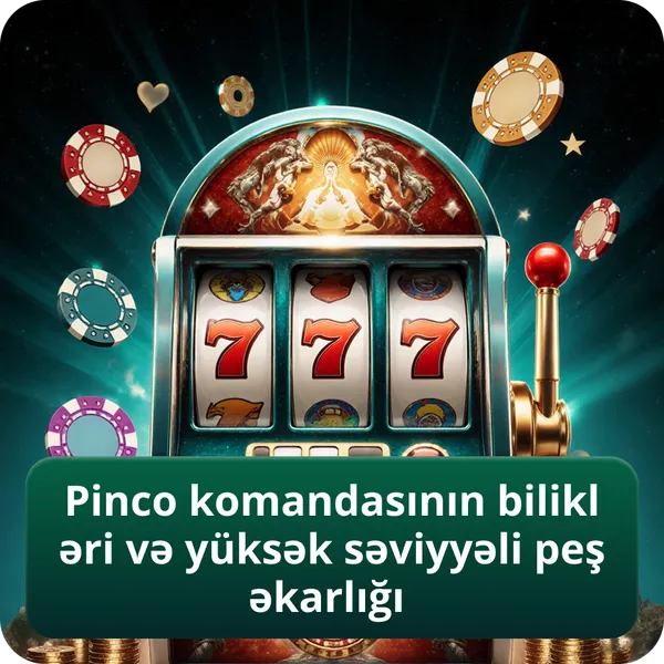 Pinco komandasının bilikləri və yüksək səviyyəli peşəkarlığı