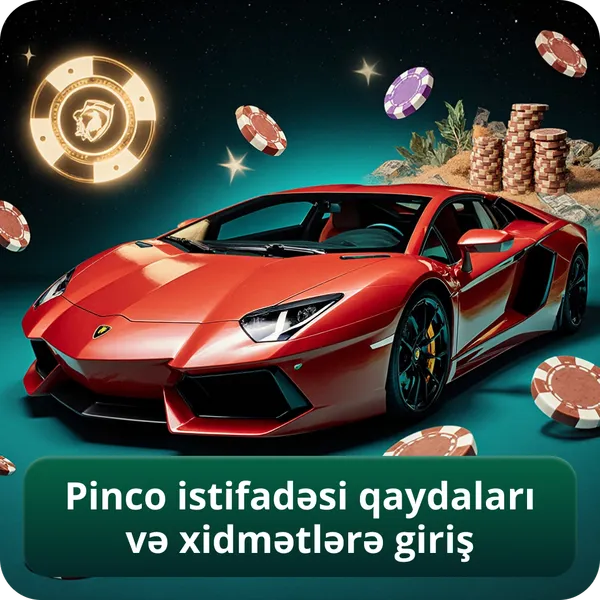 Pinco istifadəsi qaydaları və xidmətlərə giriş