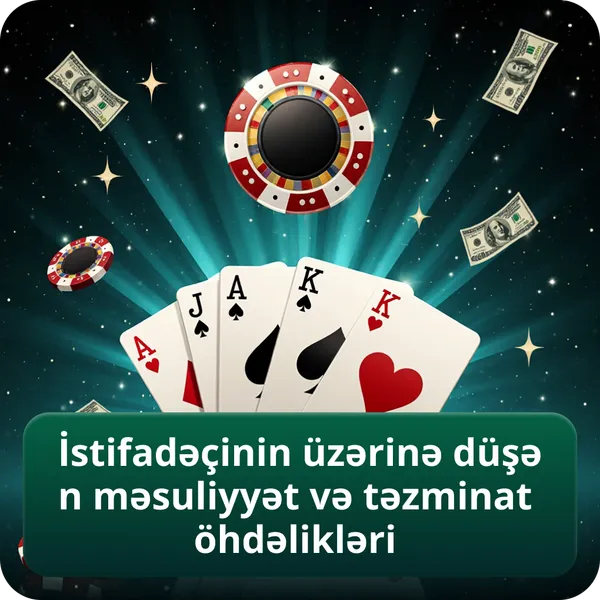 İstifadəçinin üzərinə düşən məsuliyyət və təzminat öhdəlikləri